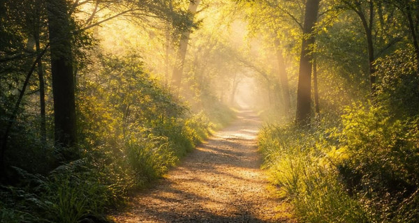 What Happens When We Die? Exploring Spiritualism and Beyond